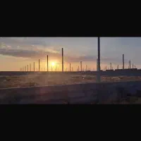 زمین ۵هزارمتری آماده گلخانه|فروش دفتر صنعتی، کشاورزی، تجاری|مشهد, امام خمینی|دیوار