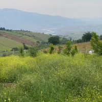 1000متر زمین سند تک برگ خوش قواره دوبر