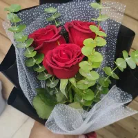 گل اقتصادی ویژه مدارس|گل و گیاه طبیعی|قم, شهرک امام حسن|دیوار
