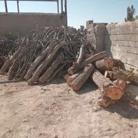 خرید ضایعات چوب|خدمات باغبانی و درختکاری|ملایر, |دیوار