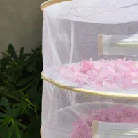 سرویس آشپزخانه|سفره، حوله، دستمال آشپزخانه|بروجرد, |دیوار