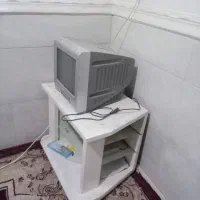 تلویزیون ۱۴ اینچ اصل|تلویزیون و پروژکتور|برازجان, |دیوار