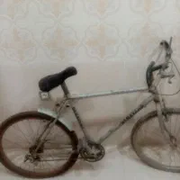 دوچرخه بزرگسال دماوند