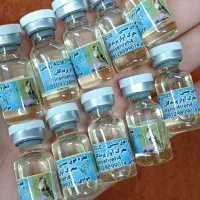 قناری سهره سیره