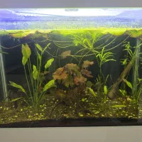 آکواریوم خم ۹۰ درجه کمدار پایه دار|ماهی|مشهد, فاطمیه|دیوار