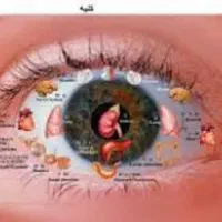 طب سنتی ایرانی|پزشکی|مشهد, امامیه (شهرک غرب)|دیوار