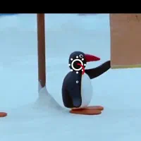 تلویزیون بست ۴۳ اینچ