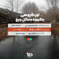تور گروهی یکروزه جنگل جیغ|تور و چارتر|مشهد, سجاد شهر|دیوار