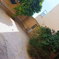 سوییت مبله شیک|اجارهٔ کوتاه‌مدت آپارتمان و سوئیت|شیراز, فرگاز|دیوار