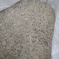 بذر ‌پیاز اصلاح شده