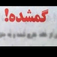 کیف کارتی گمشده دروازه تهران