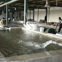 قالیشویی ومبلشویی تخصصی شرق وغرب تهران|خدمات نظافت|تهران, سبلان (لشگر)|دیوار