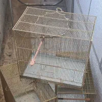 ۳ قفس سهره قناری قفس طرح برنجی ضد زنگ نو