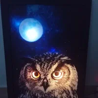 ۲ تابلوی چراغ خواب|چراغ خواب و آباژور|اهواز, زیتون کارگری|دیوار