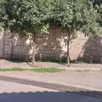 زمین-کشاورزی-اجاره-یکساله-گرگان-جاده-زندان