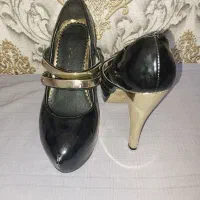 کیف وکفش ست