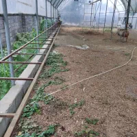 فروش سازه گلخانه با تجهیزات|فروش دفتر صنعتی، کشاورزی، تجاری|رشت, آتشگاه|دیوار