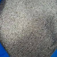 تخم کتان|لوازم جانبی حیوانات|فولادشهر, زاینده رود|دیوار