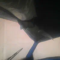 نیسان تصادفی مدل ۱۴۰۱|خودرو سواری و وانت|هرسین, |دیوار