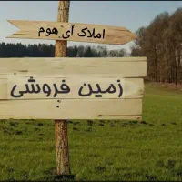 233-متری-سند-دار-King-land