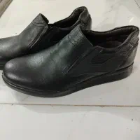 کفش‌ مردانه‌ نو