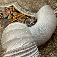 خرطومی هو‌د