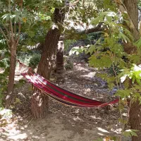 کلبه و باغ اختصاصی اقاجون|اجارهٔ کوتاه‌مدت ویلا و باغ|سپیدان, |دیوار