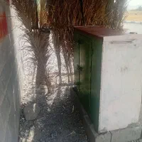 دکه|فروشگاه و مغازه|بیکاه, |دیوار