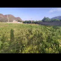 راننده پایه دوم جویای کار