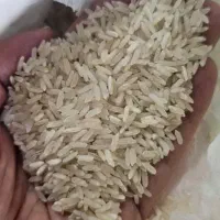 برنج پاکستانی میتانی باکیفیت