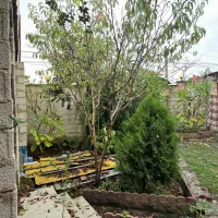 ویلای ۲۳۰ متری/جنگلی /سند تک برگ/خونه ی آرزوها|فروش خانه و ویلا|سیاهکل, |دیوار