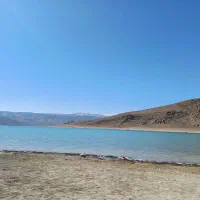 فروش تعدادی بیست عددمرغ عشق نر ماده