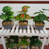 گل مصنوعی گیاه دکوری گلدان