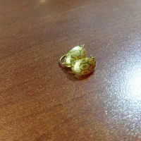 گوشواره و سکه پارسیان