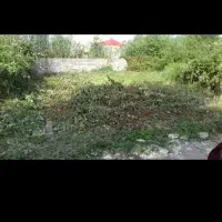 زمین-کلنگی-فروشی