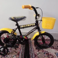 دوچرخه سالم و مرتب ۱۲و۲۰