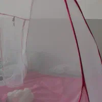 پشه بند