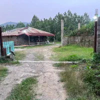 7300-متر-زمین-جنگلی