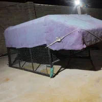 اتاق مسقف پیکان وانت