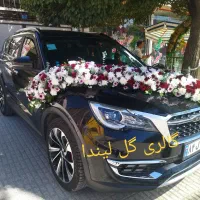 ماشین عروس دسته گل عروس(شیک خاص اقتصادی)|خدمات پذیرایی، مراسم|کرمانشاه, |دیوار