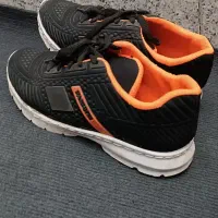 کتونی مردانه و زنانه|کیف، کفش، کمربند|قم, منبع آب|دیوار