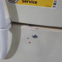 یخچال ال جی|یخچال و فریزر|رشت, دیانتی|دیوار