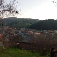 زمین