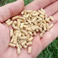 دانه پارس درجه یک