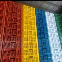 سبد بسته بندی خرما