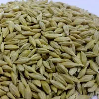 جو بزری بوجاری شده