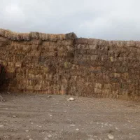 فروش یونجه، چین ۲و۳،کیلویی ۳۲هزار تومان|حیوانات مزرعه|قشلاق دشت, |دیوار