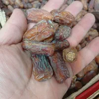 خرما|خوردنی و آشامیدنی|تهران, سلسبیل جنوبی|دیوار