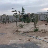 زمین-باغی-میقان