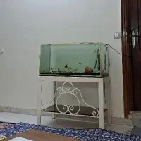 آکواریوم